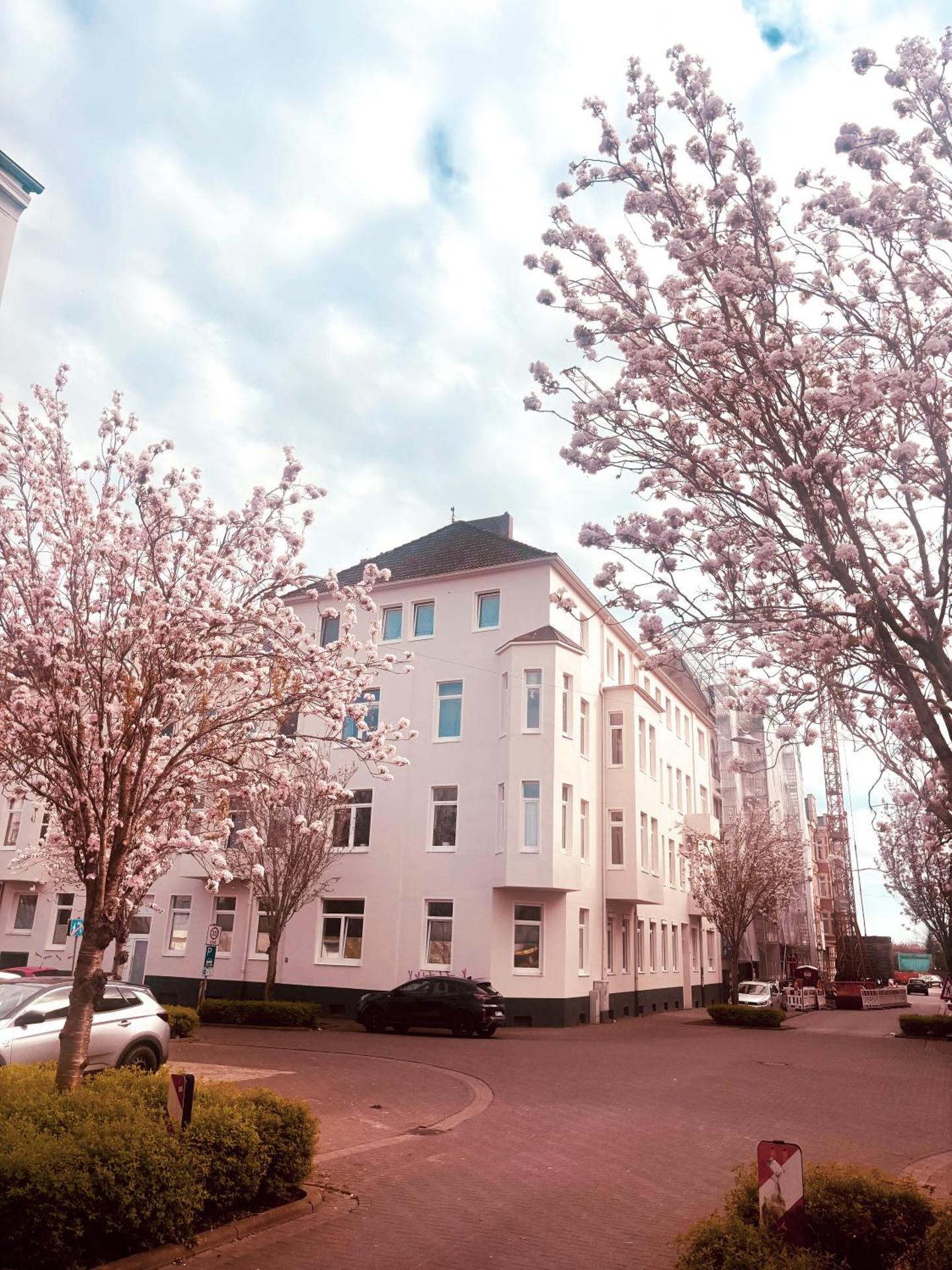 Apartment über WHV in Toplage 3OG