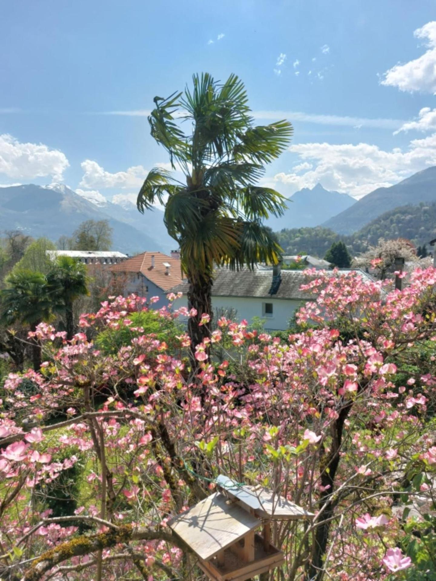 Logis Hôtel Beau Site