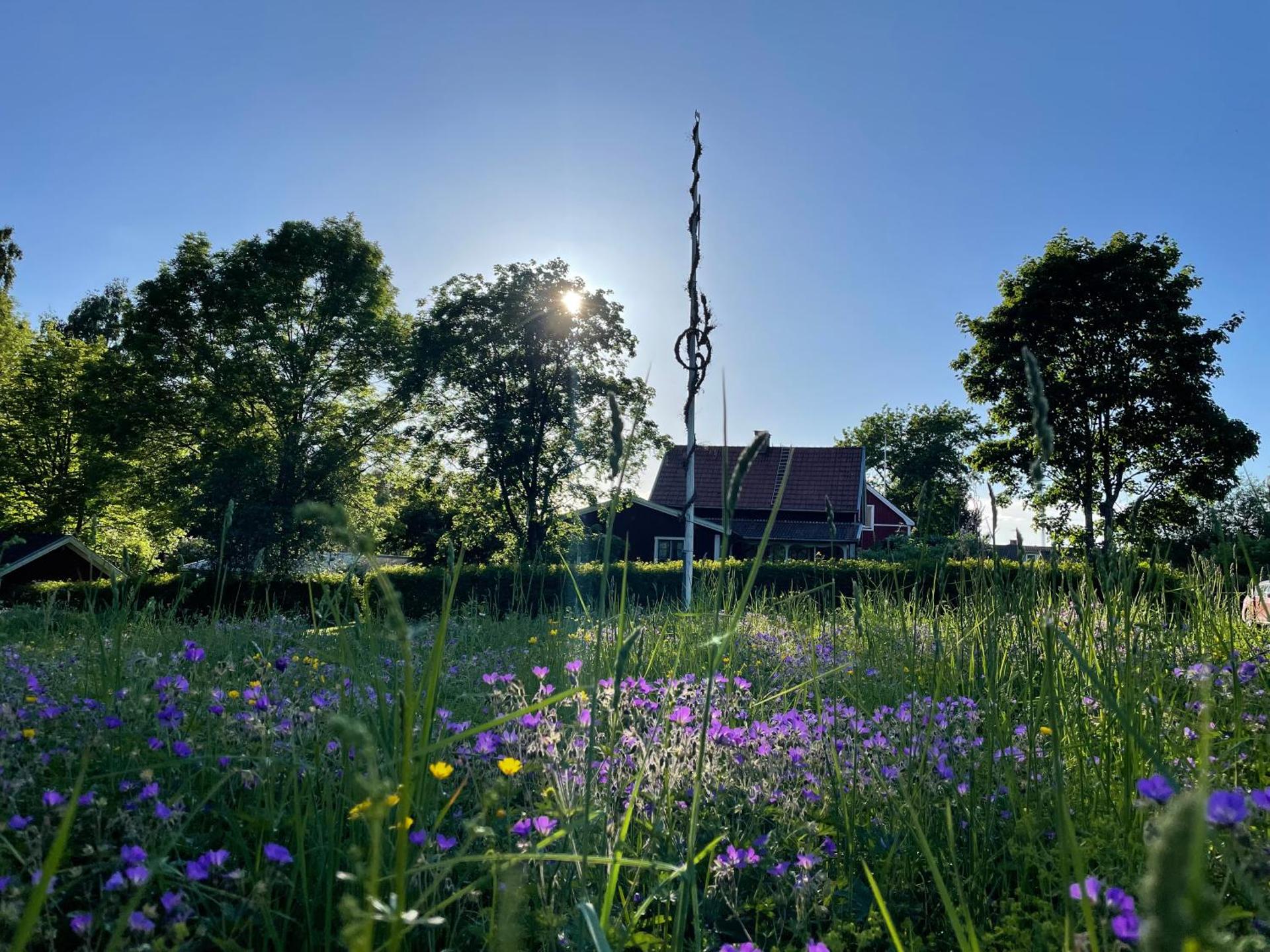 Prinsgården B&B rum stugor