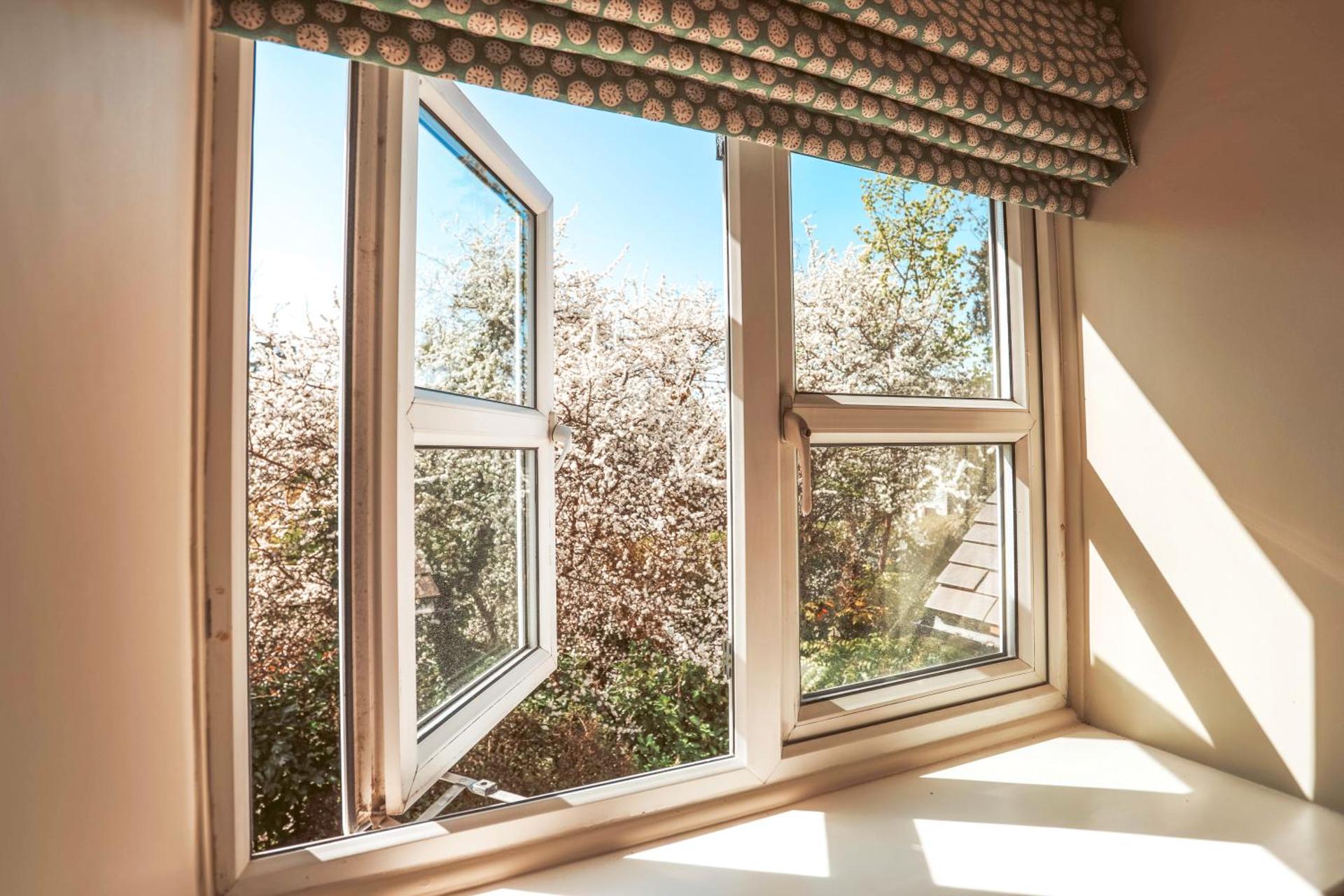 View (from property/room)