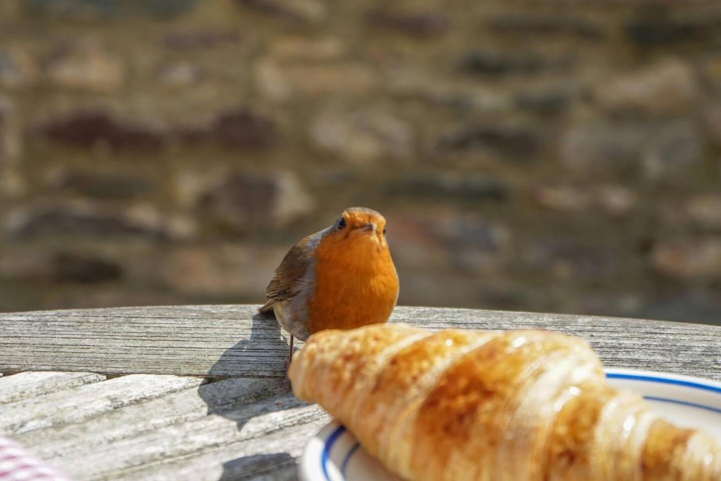 Riverside Apartment with Stunning Views & Patio