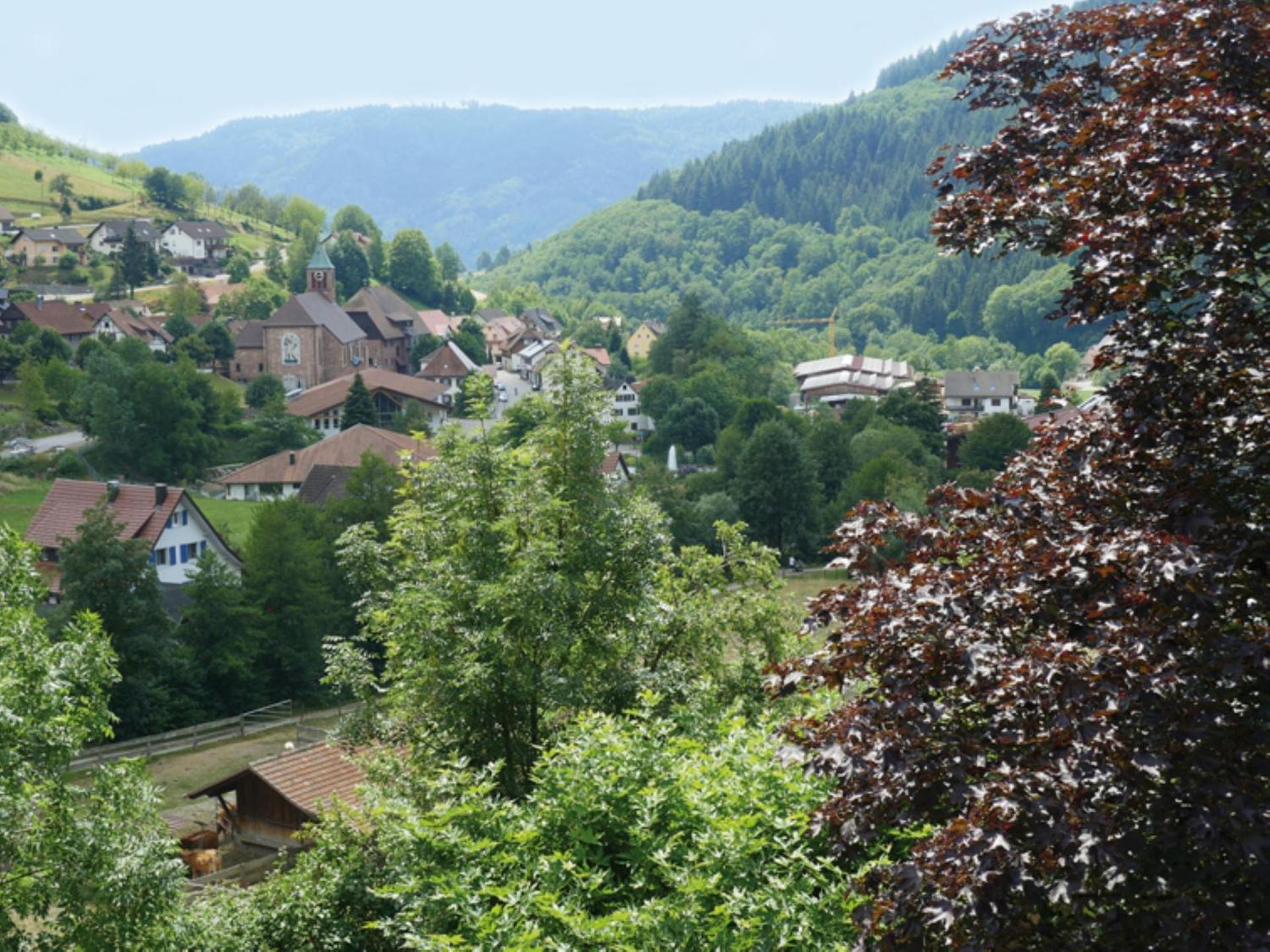 View (from property/room)