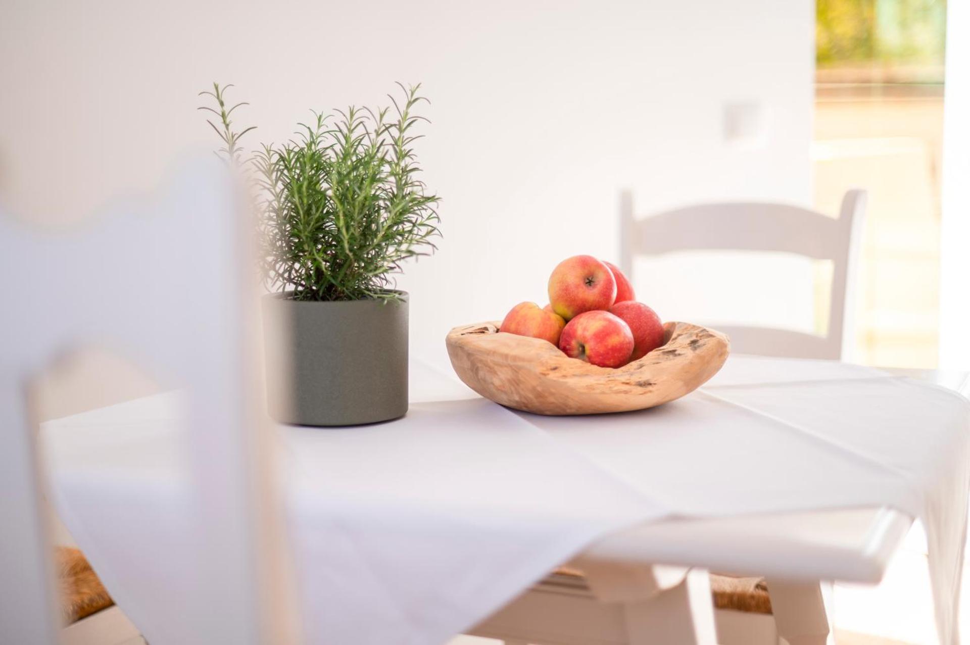 Boutique Apartments in Villa direkt an der Mosel