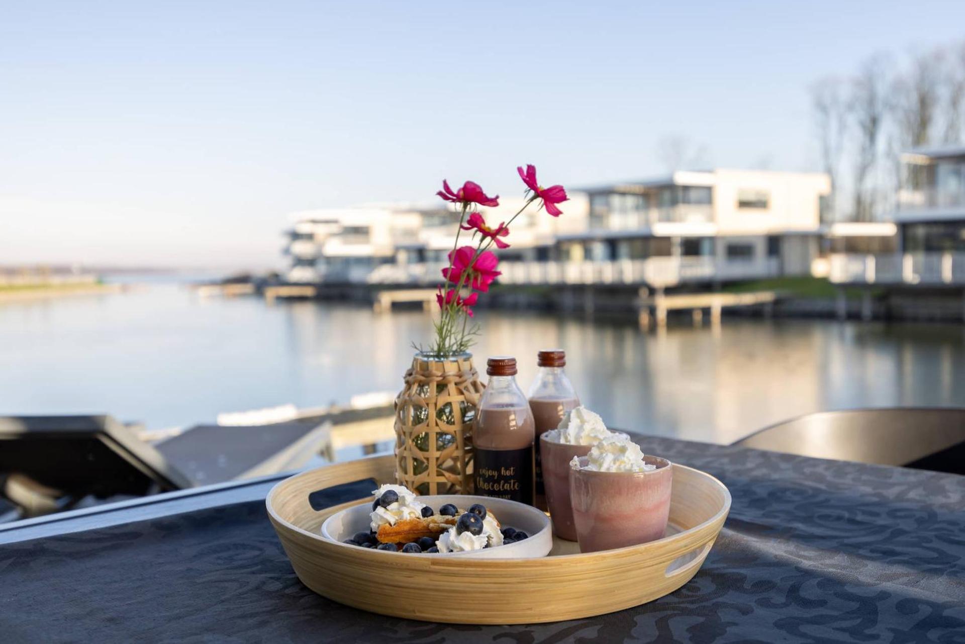 Hello Zeeland - Water Villa's Veerse Wende - with dog