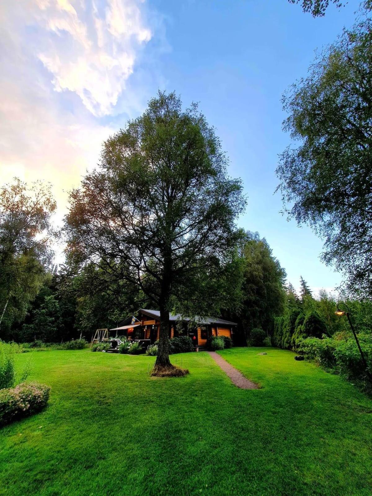 Blockhütte in Alleinlage