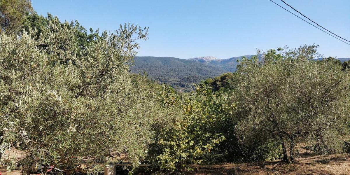 Villa CIGALONS en pleine pinède avec PISCINE