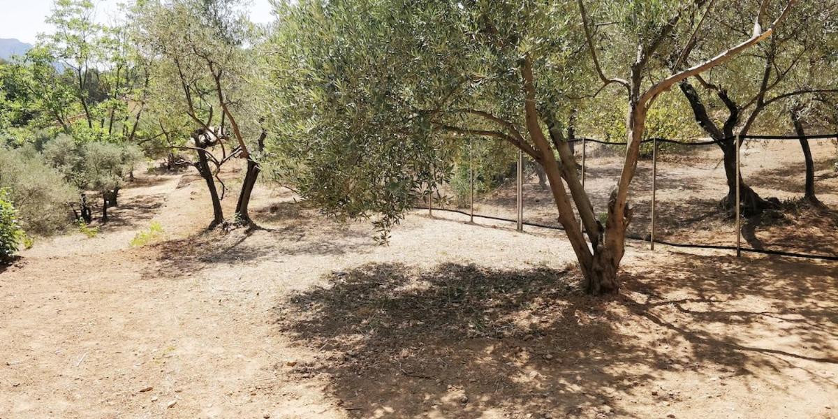 Villa CIGALONS en pleine pinède avec PISCINE