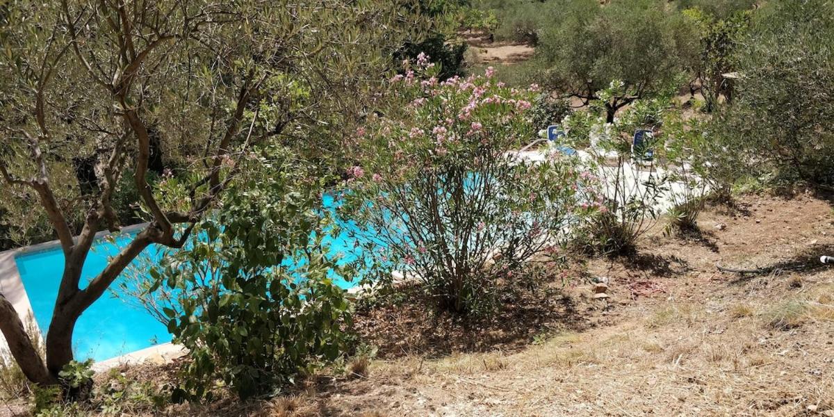 Villa CIGALONS en pleine pinède avec PISCINE