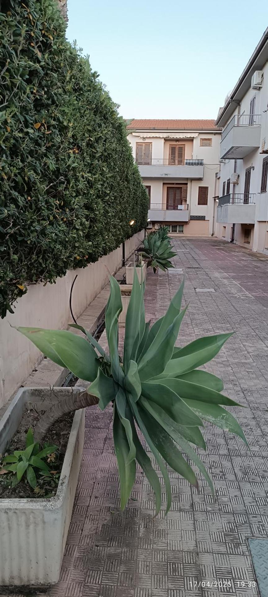 Casa A Pupidda vicino al mare