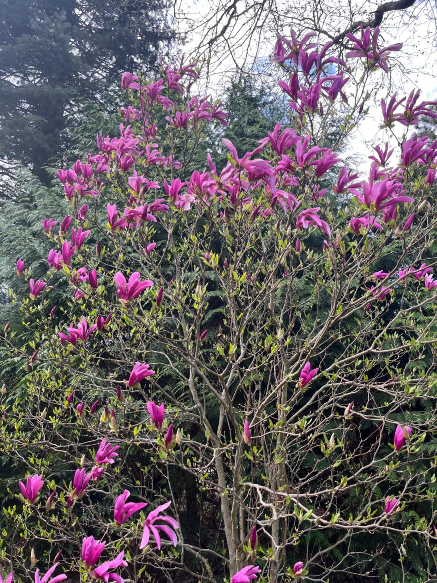 Rzeczny Zakątek nad Wkrą