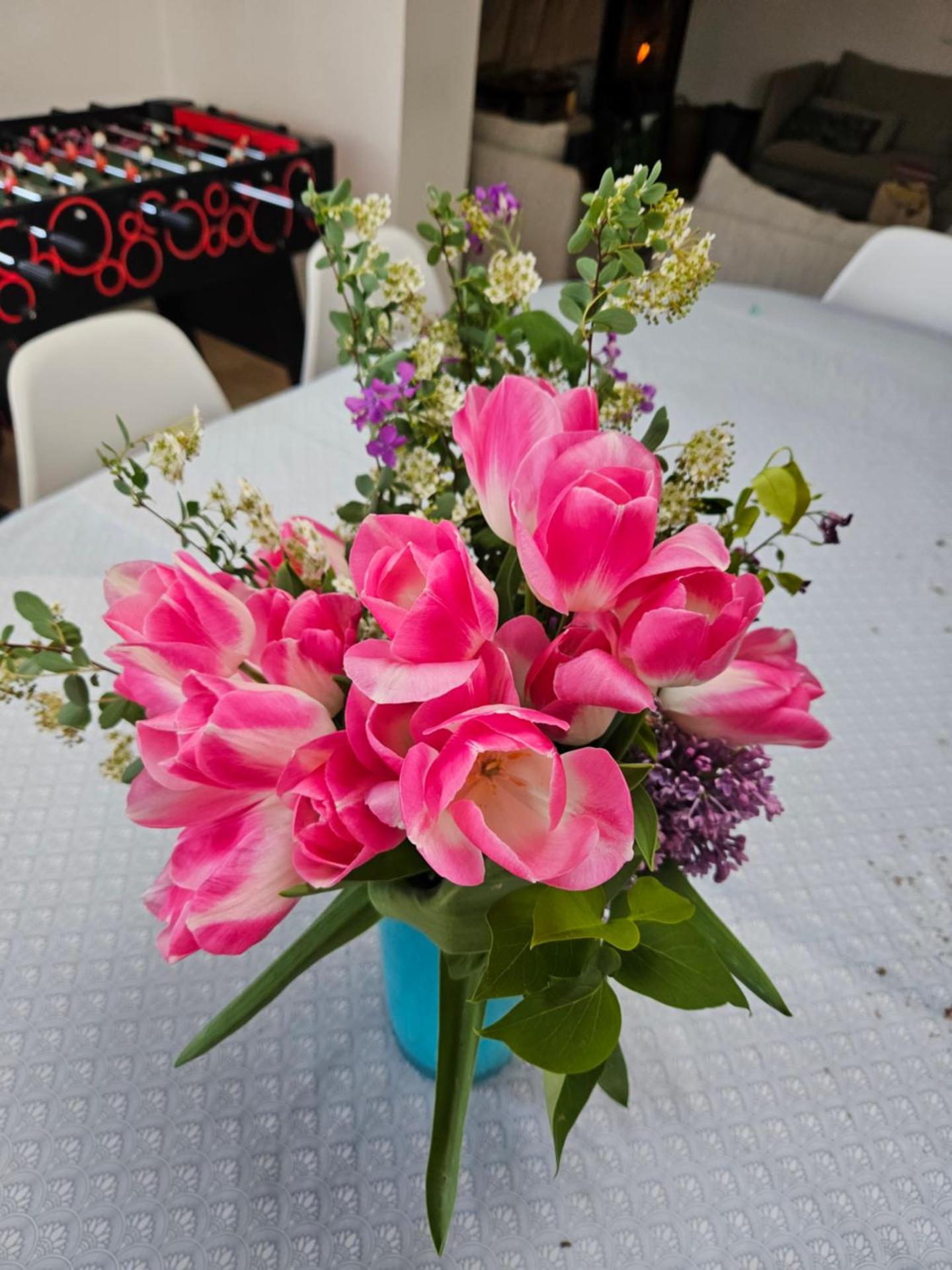 Deux maisons reunis par le jardin et sa cabine de plage, à 8min à pieds des plages et de l'océan