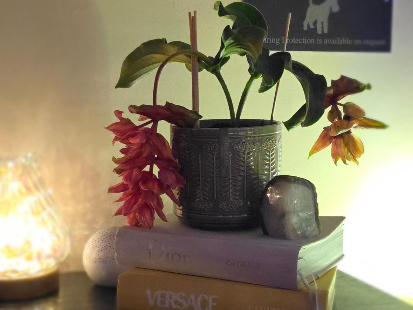 The NEW Blue Horse Suite at The Grumpy Schnauzer B&B Luxury Private Indoor Hot Tub Breakfast in Bed