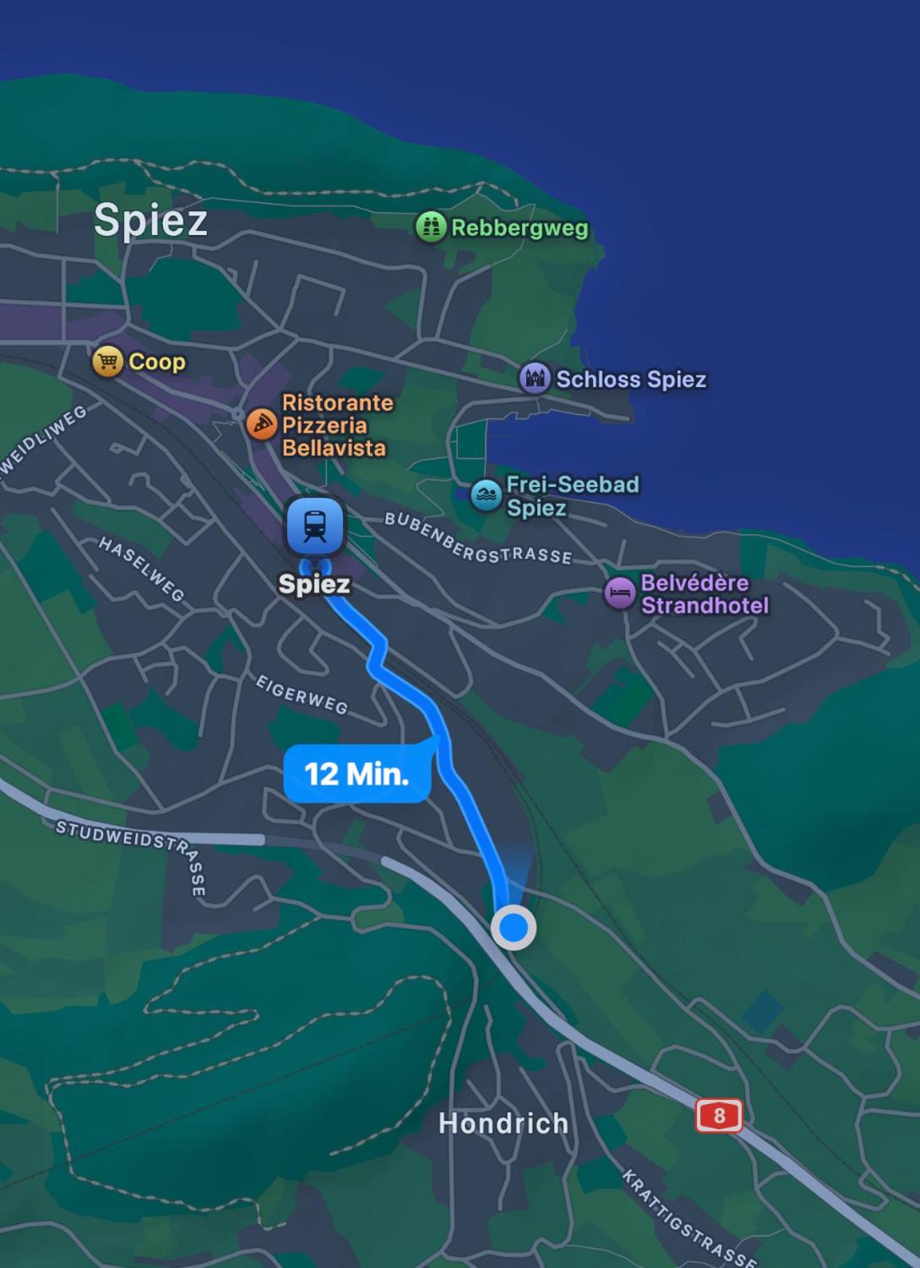 Studio with lake and mountain view