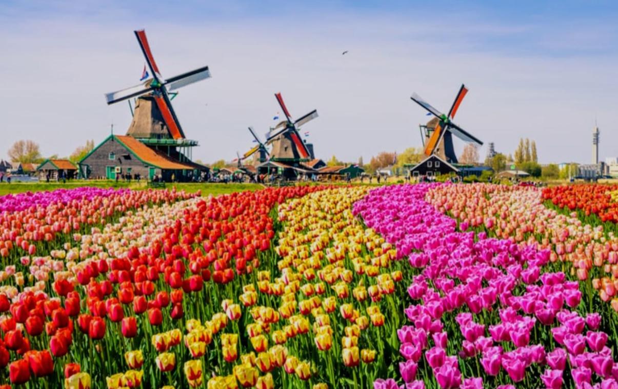 1-2 pp ROOM AMS Airport great view lake