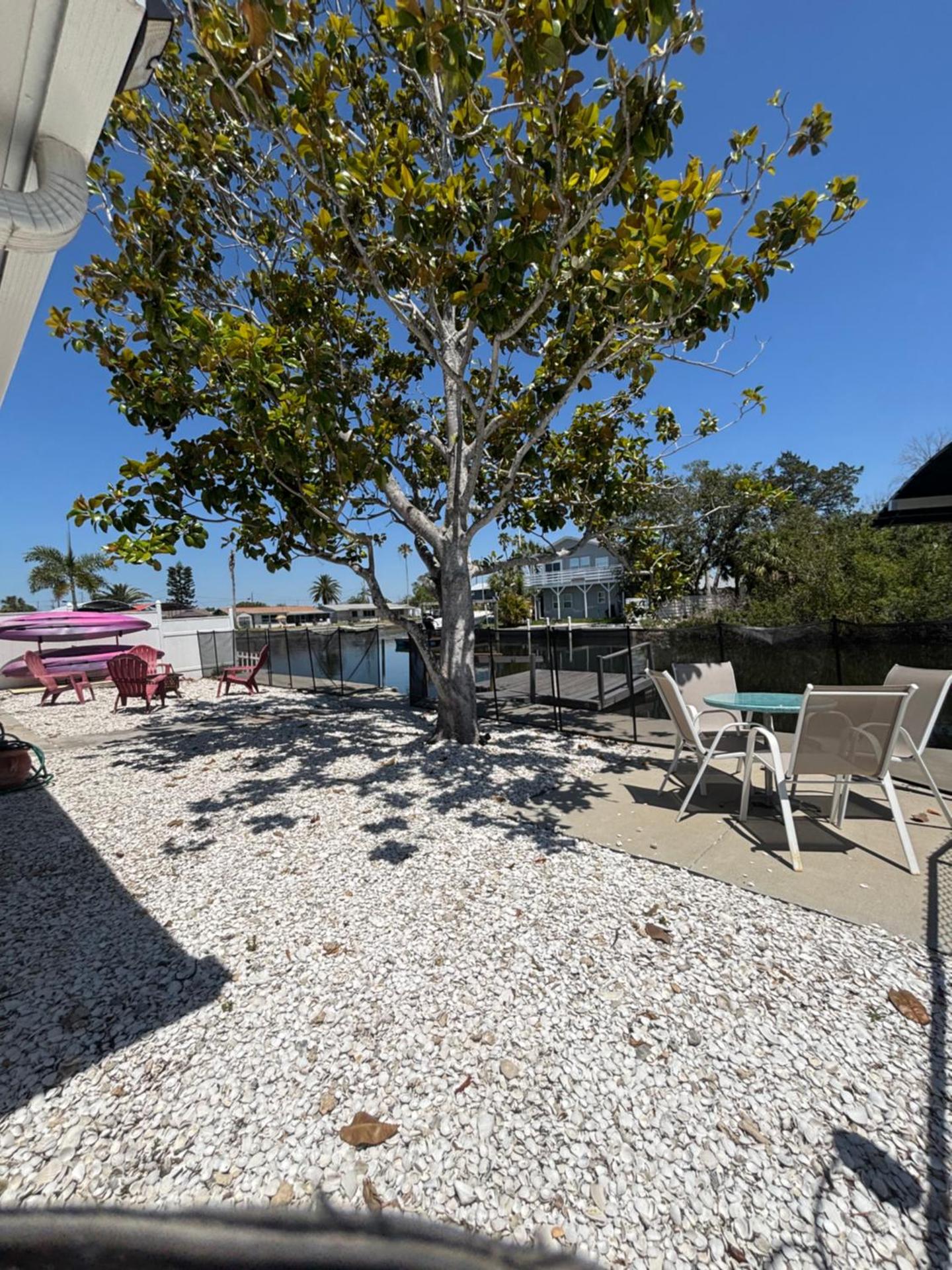 Gorgeous Seaside Seashell Cottage!