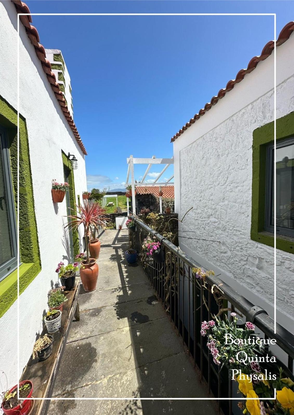Boutique Quinta Physalis