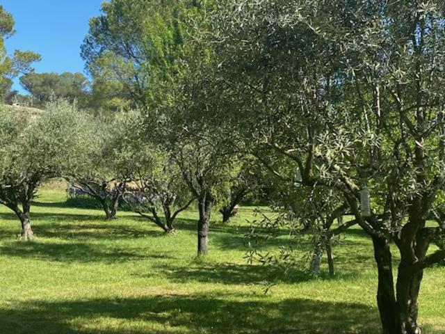 Maison avec piscine et Sauna