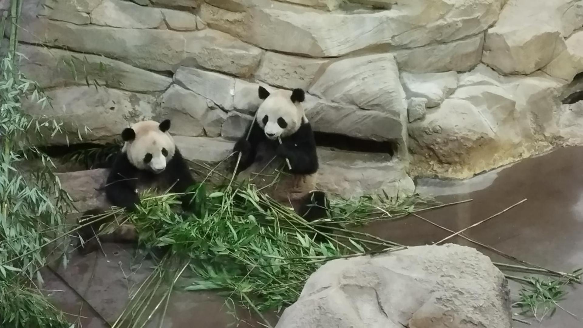 Gite en Sologne, -Châteaux de la Loire, Beauval -