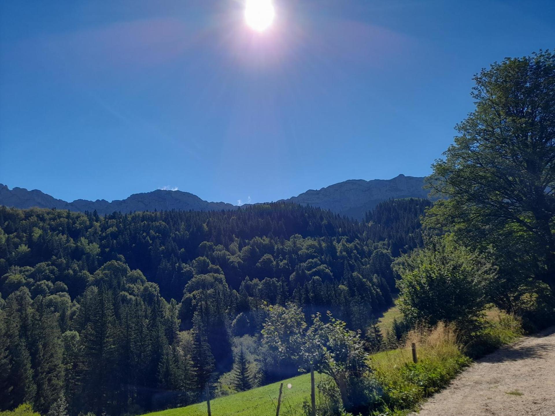 Duplex 59m2 - proche centre - balcon plein sud