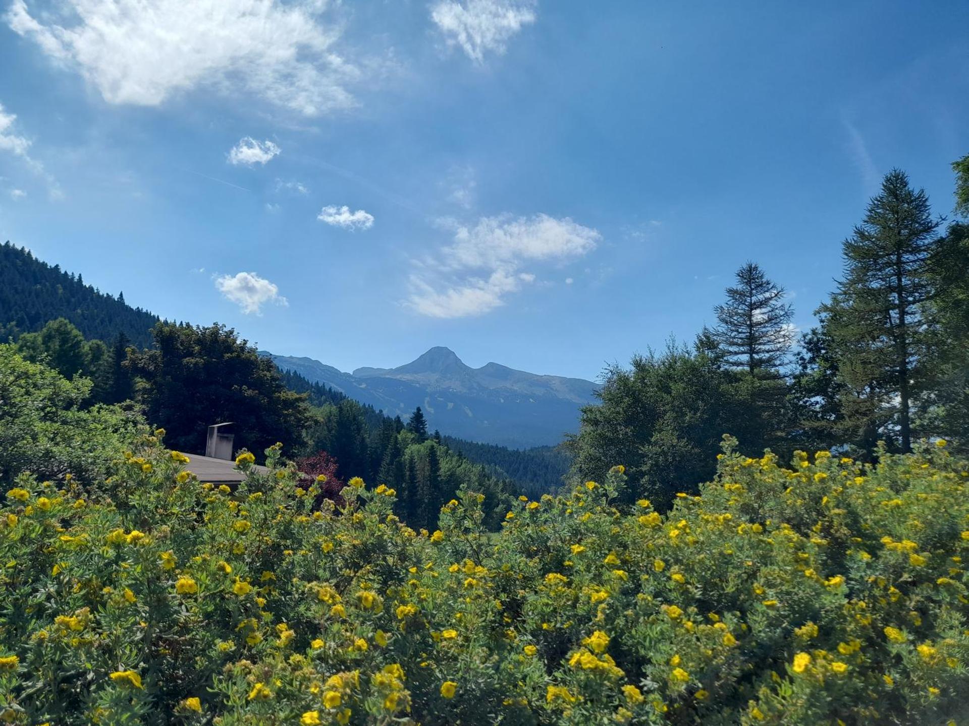 Duplex 59m2 - proche centre - balcon plein sud