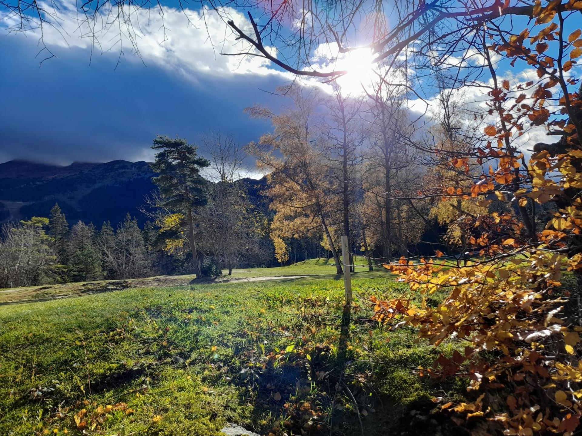 Duplex 59m2 - proche centre - balcon plein sud