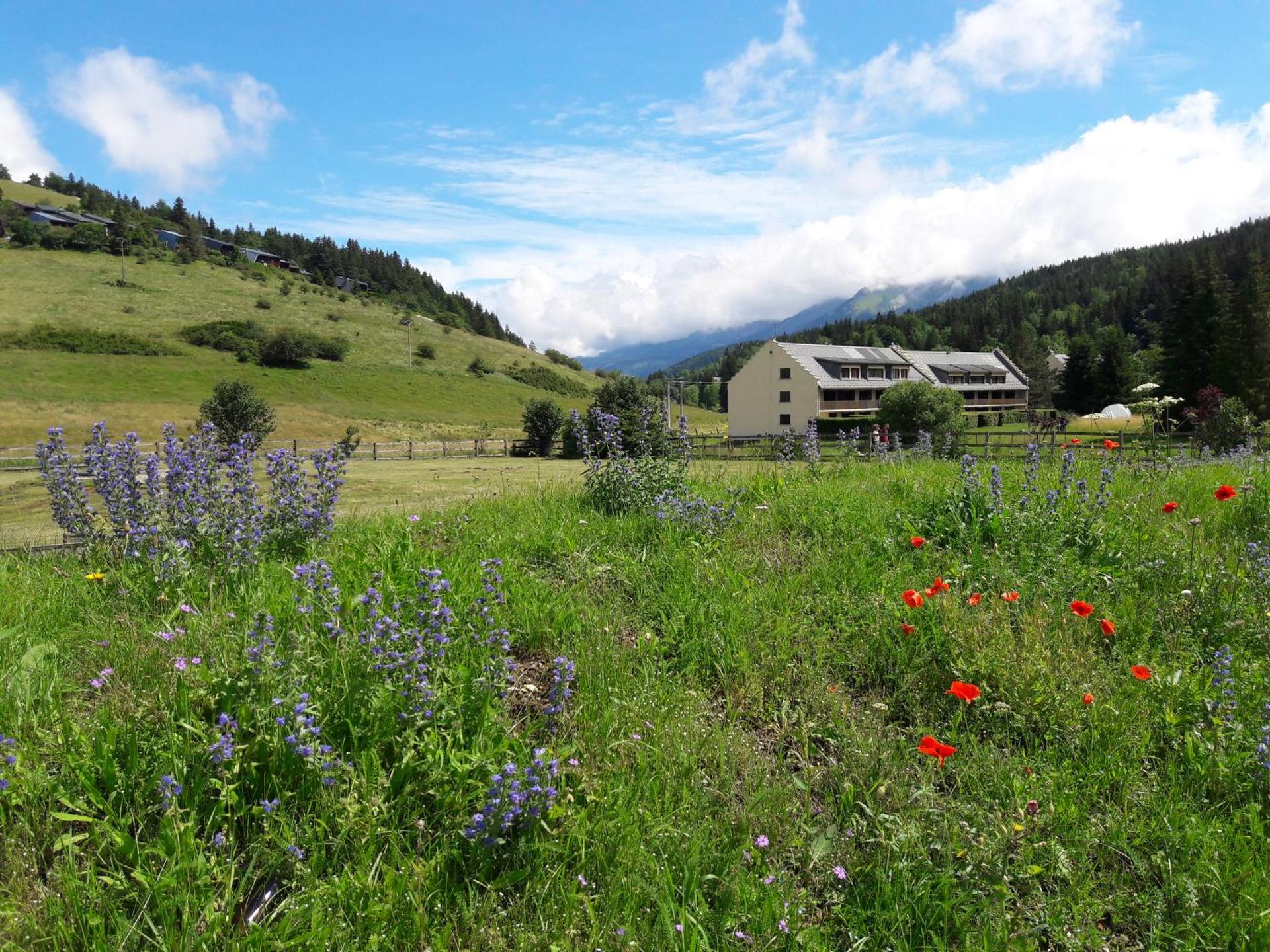 Duplex 59m2 - proche centre - balcon plein sud