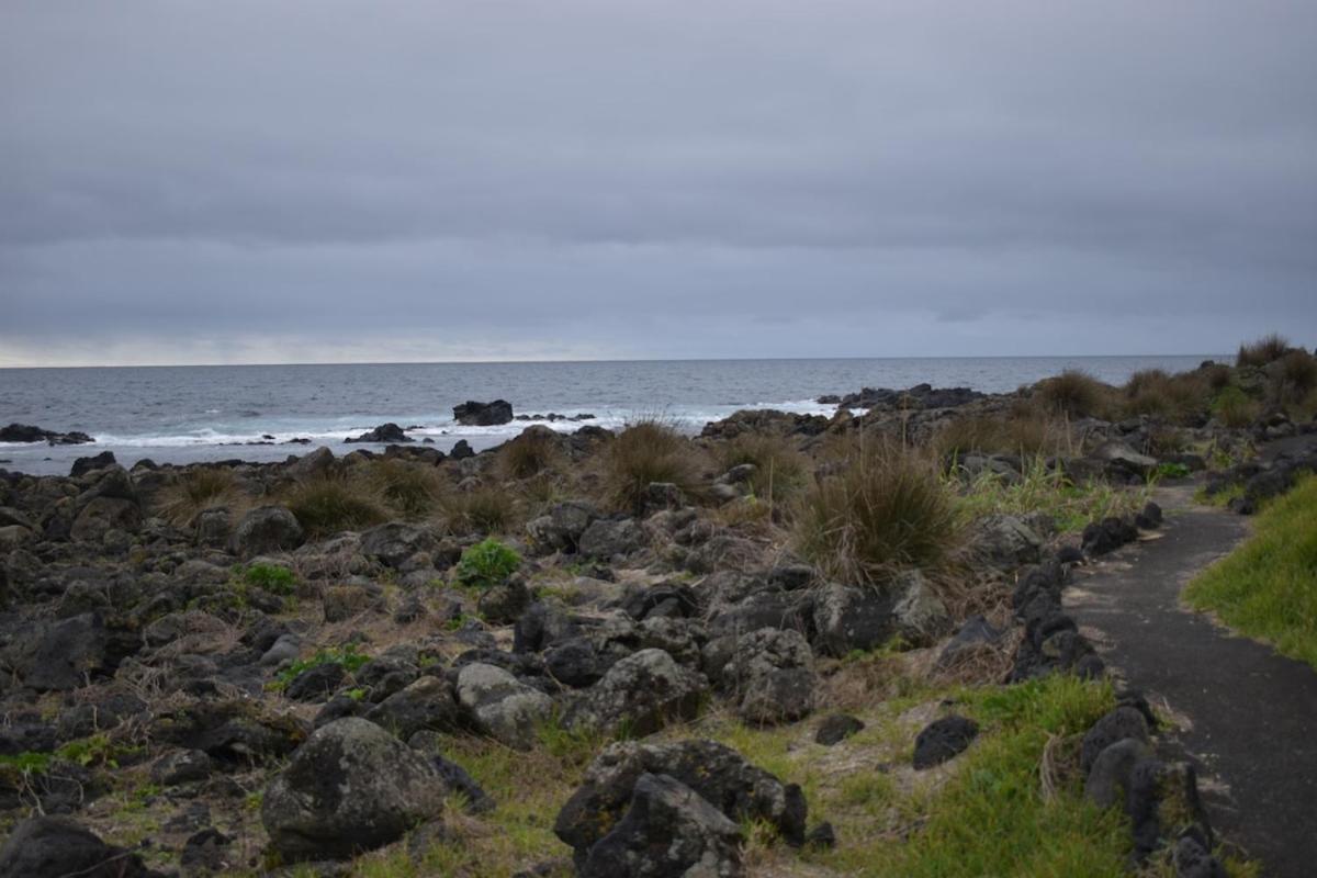 Casa Cruzeiro AL - by the sea OCEANTUR