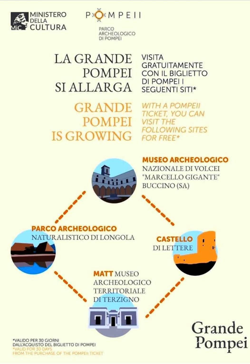 Terrazza sul Vesuvio con piscina