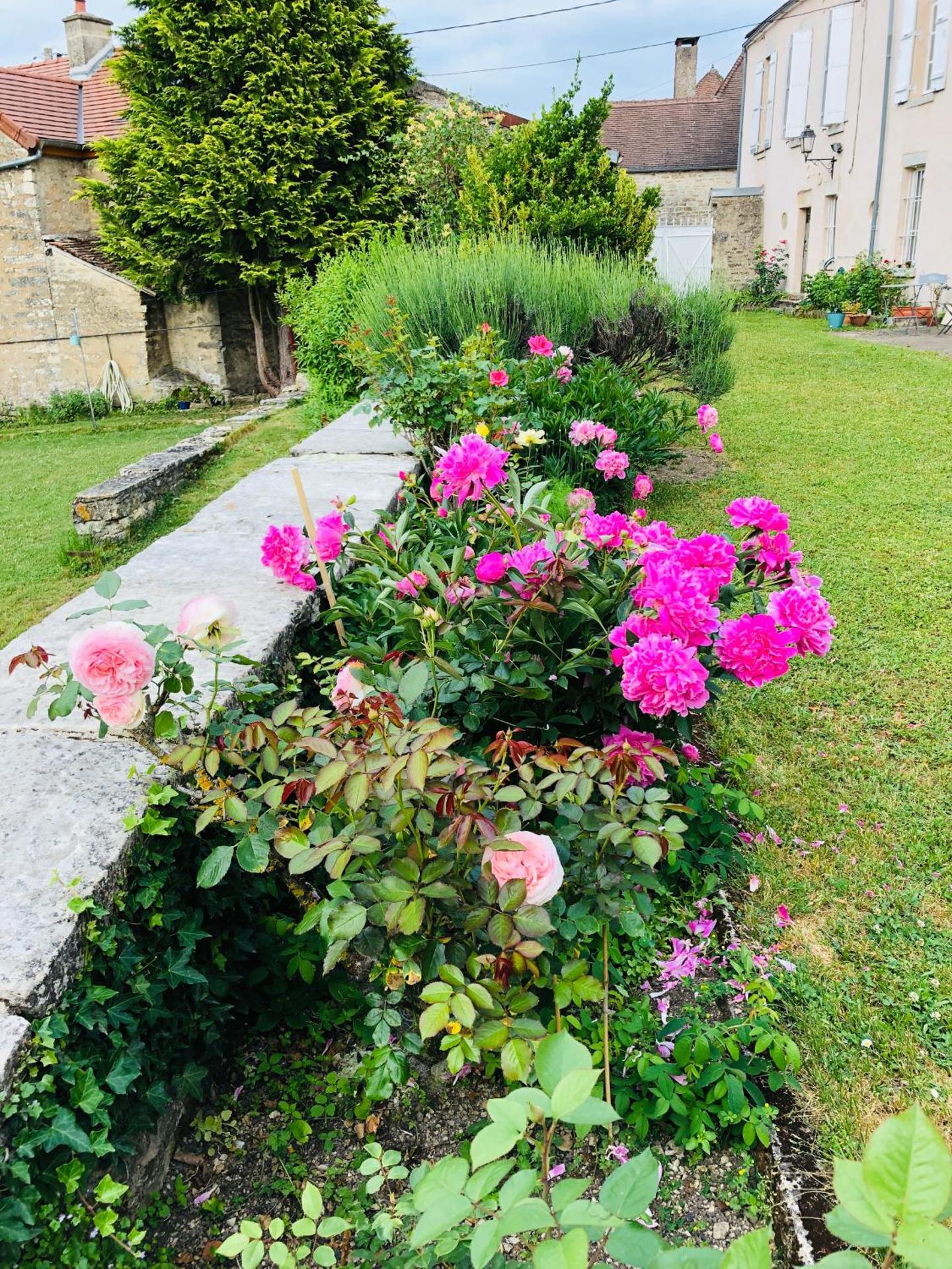 LA ROSERAIE DE ST REMY