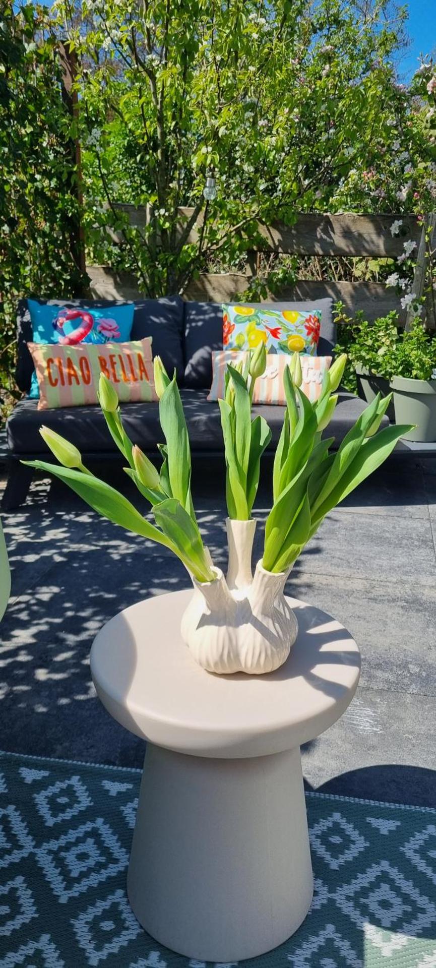 Artisan Hideaway Bed and Breakfast