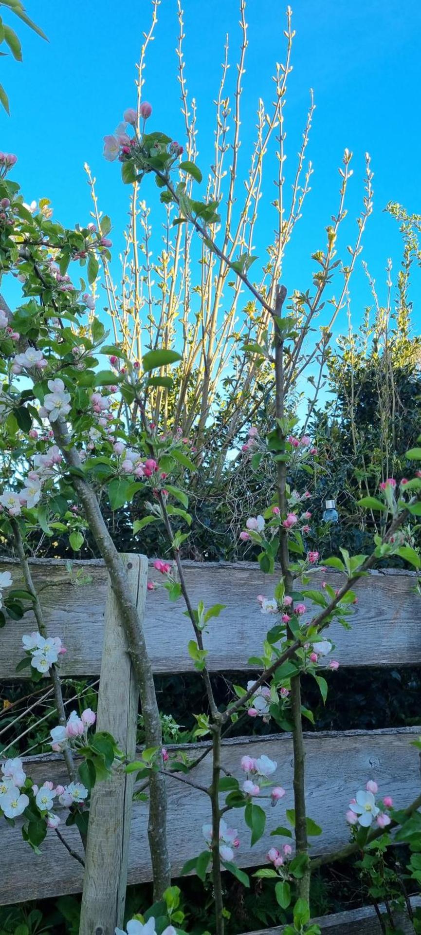 Artisan Hideaway Bed and Breakfast