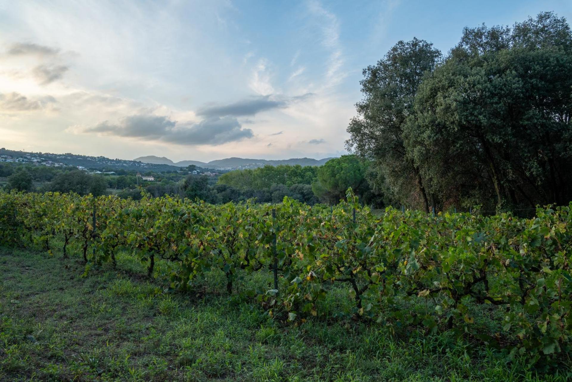 Casa rural El Bruguer Vell