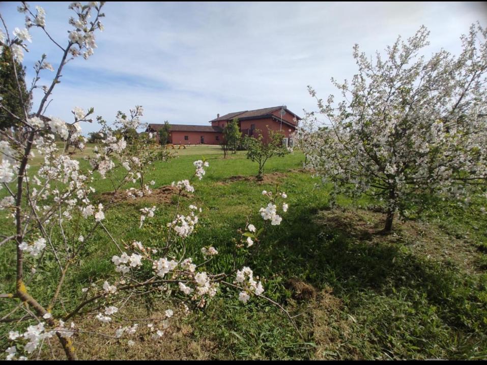 Il Casale di Giulia di Aprilia