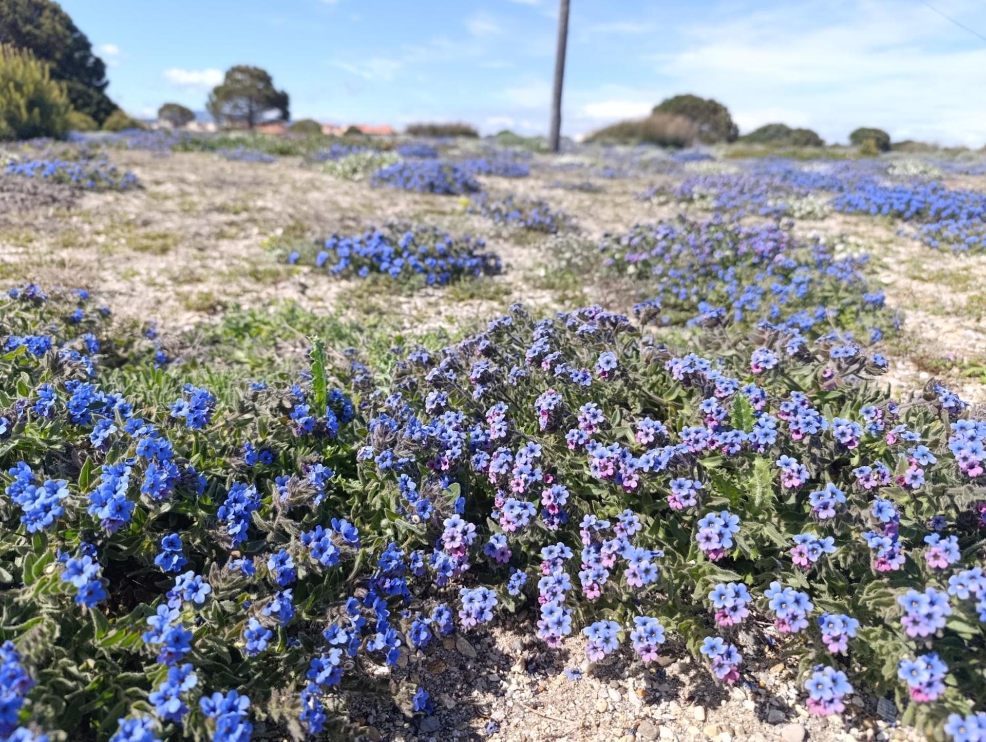 T2 vue mer Palm Beach