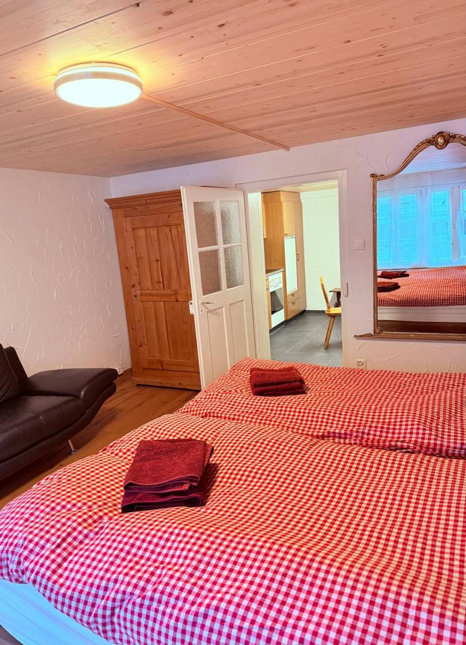 Vintage Apartment, 15 min to ski resort