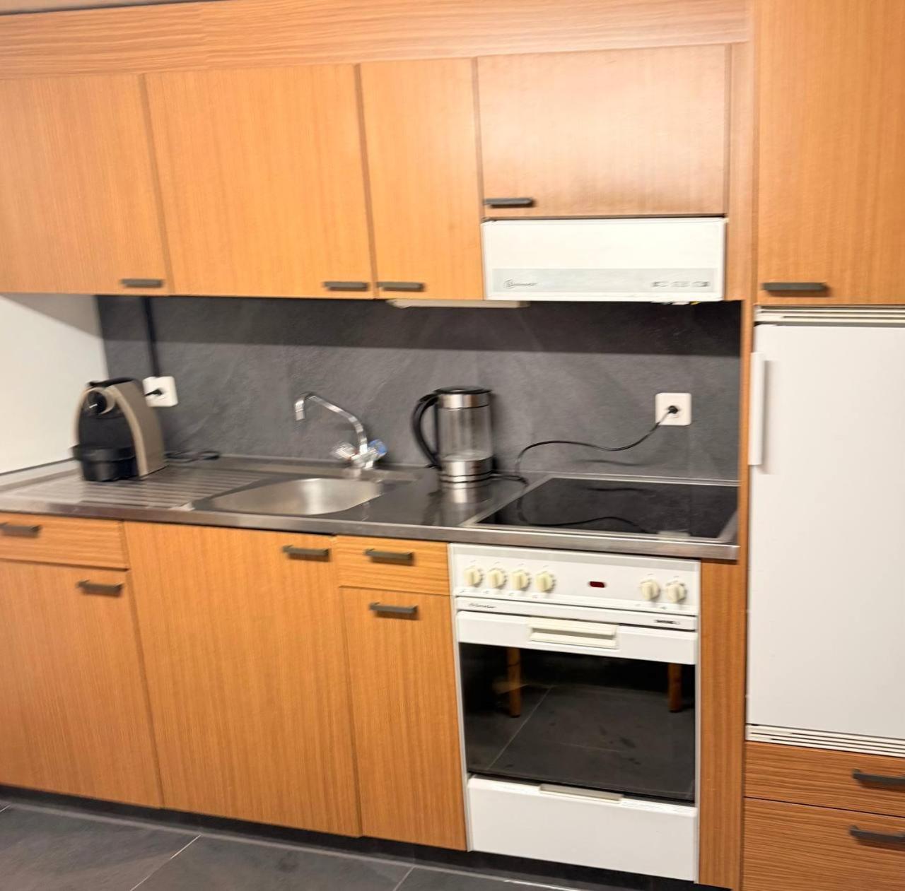 Vintage Apartment, 15 min to ski resort