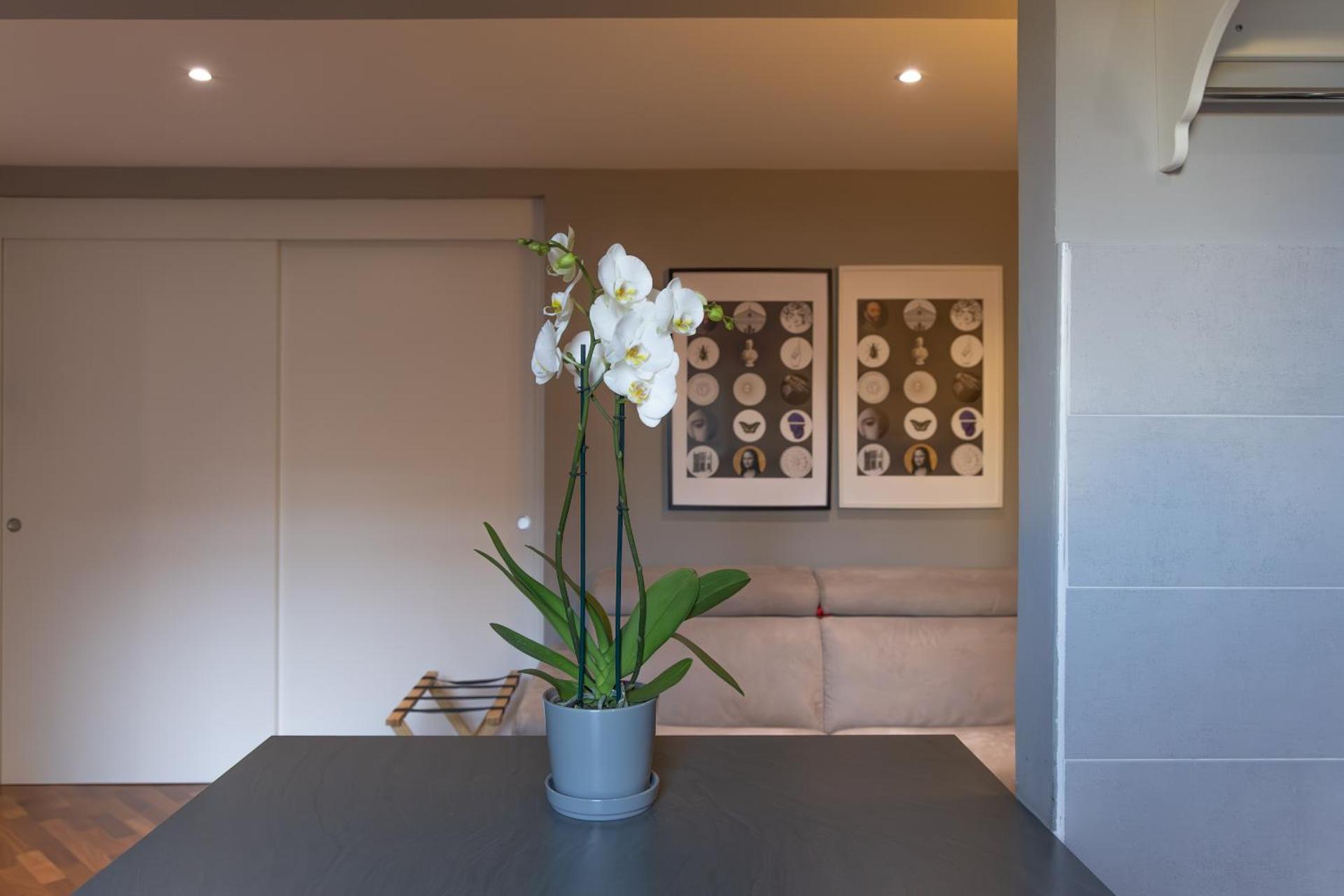 Collegio di Spagna 13