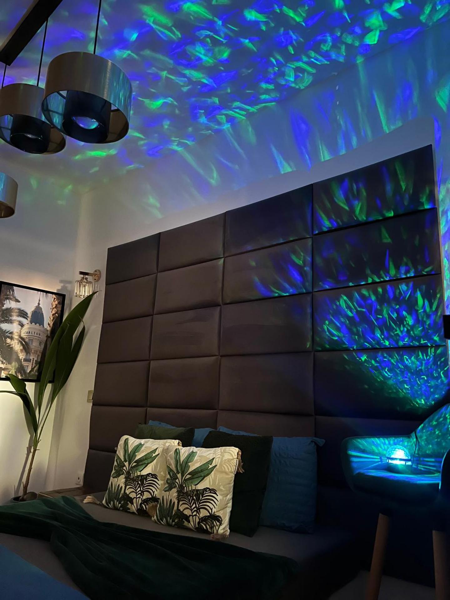 Le petit Carlthon appart