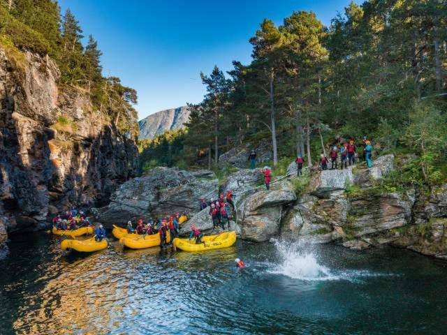 Ski inn Ski Out Best holiday Apartments i Oppdal