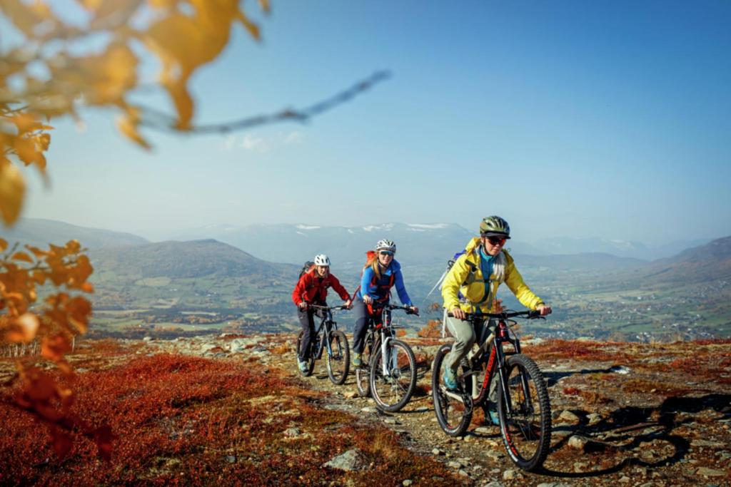 Ski inn Ski Out Best holiday Apartments i Oppdal