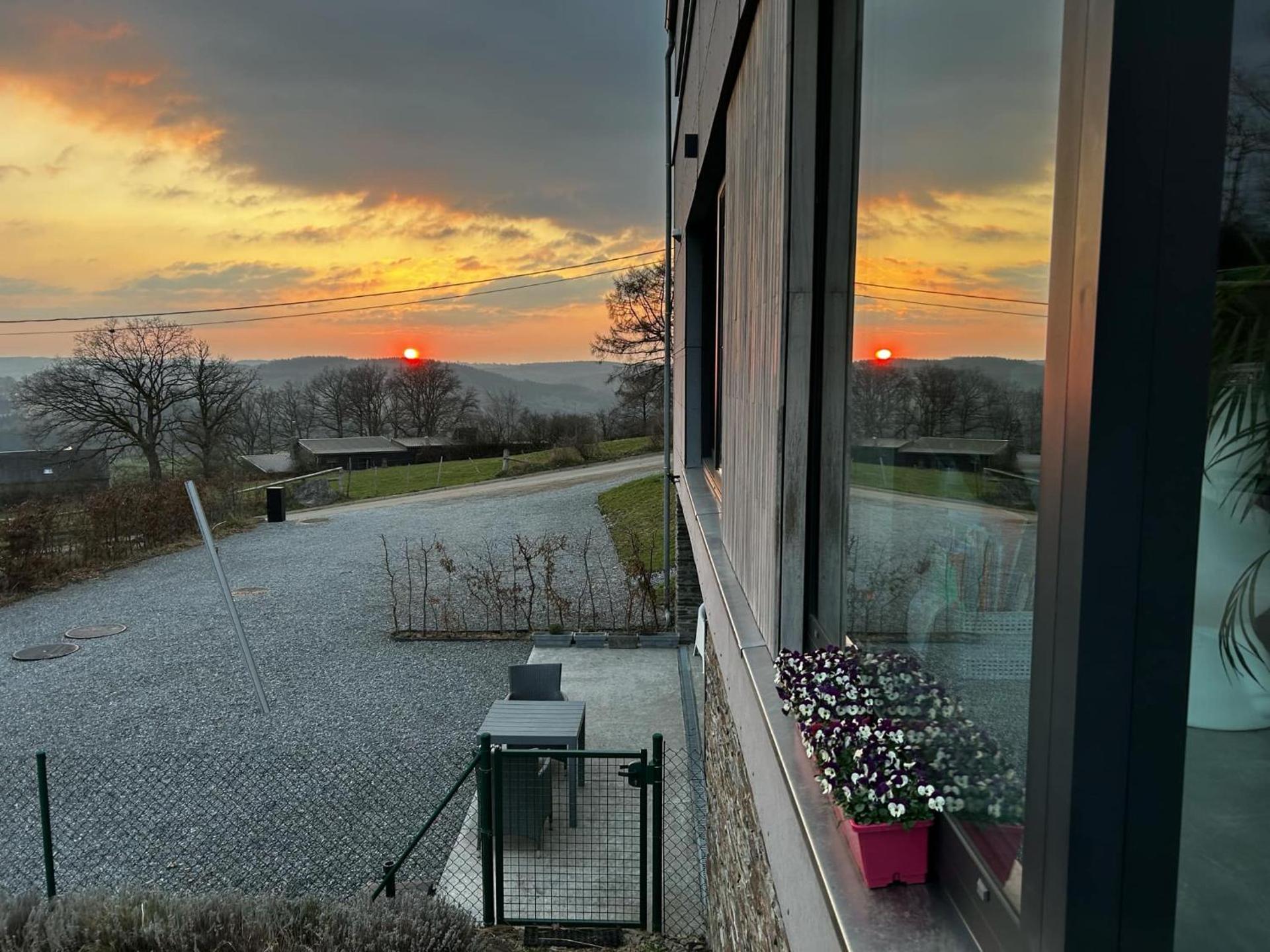 La planque du raton laveur