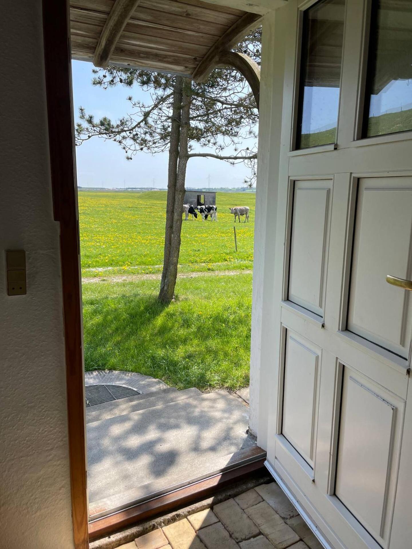 Surfreservatet i Nationalpark Thy