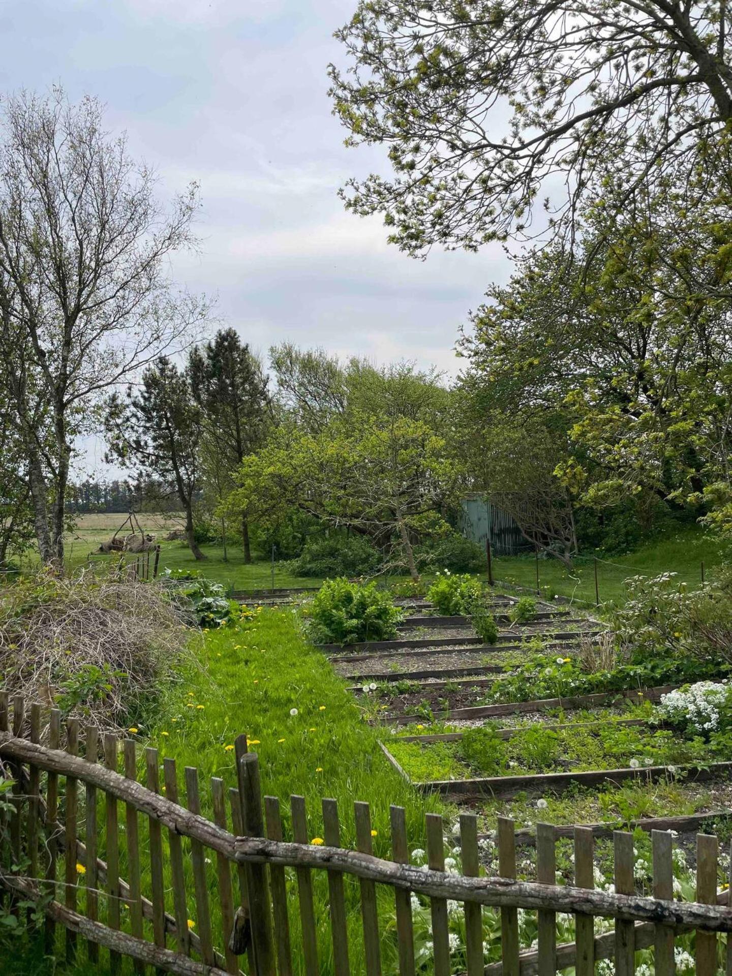 Surfreservatet i Nationalpark Thy