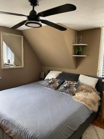 Tinyhouse Woody at the Water