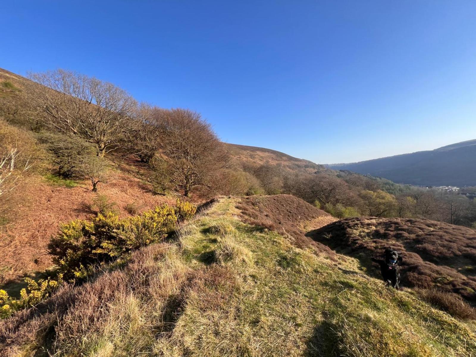 Apartment 1 The Baileys Cwm 2 Bedroom Sleeps 4