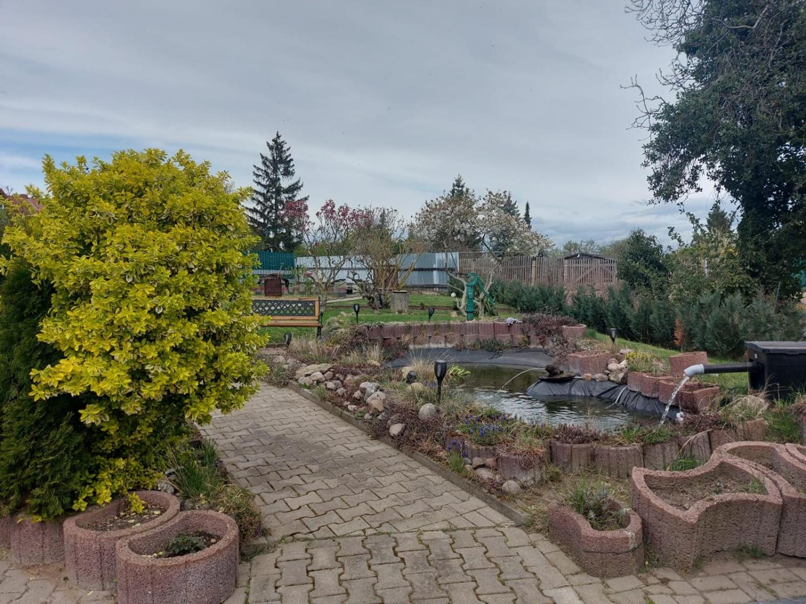 Ferienwohnung Harz in Ballenstedt