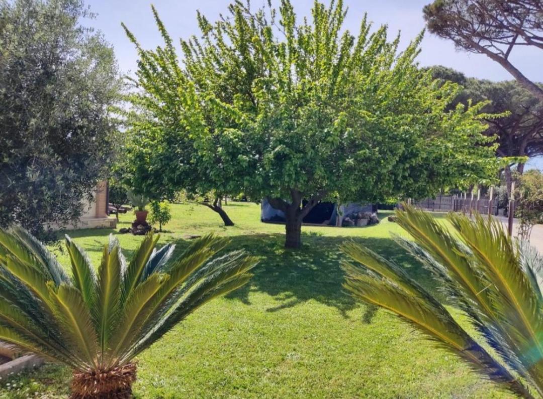 Casale Elisa Country Hotel