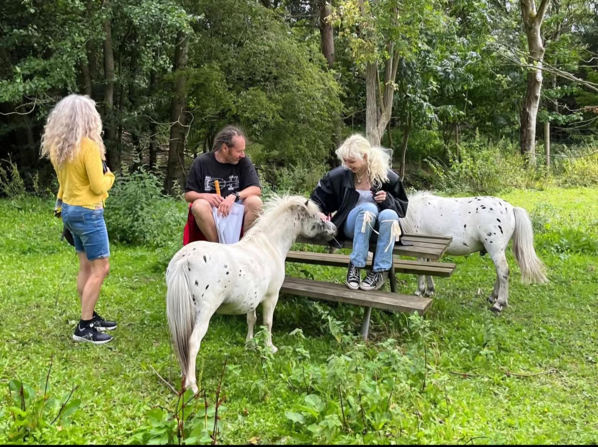 The parrot hotel, live in a rescue animal park