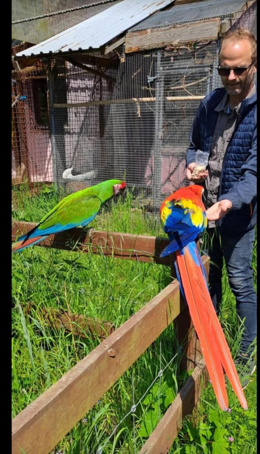 The parrot hotel, live in a rescue animal park
