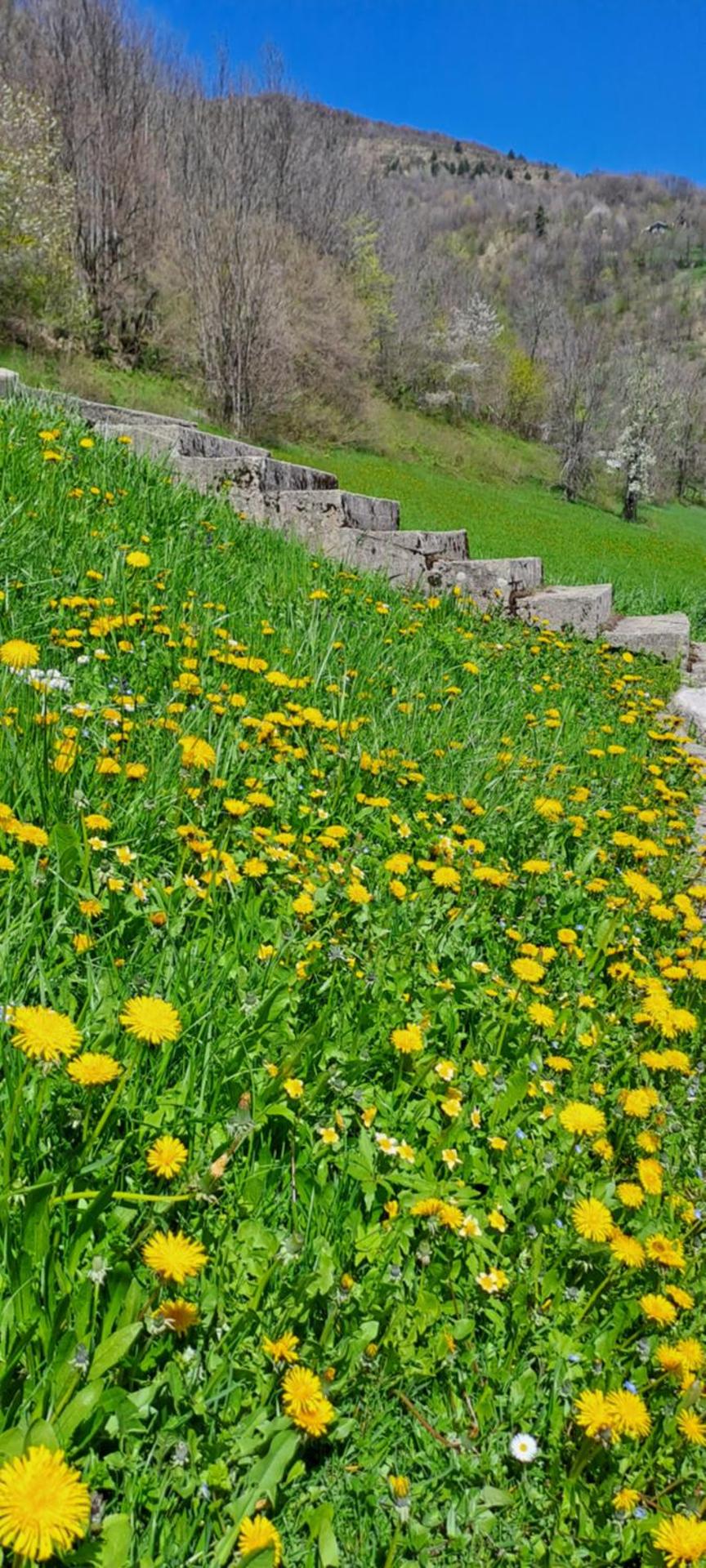 La finestra sui monti